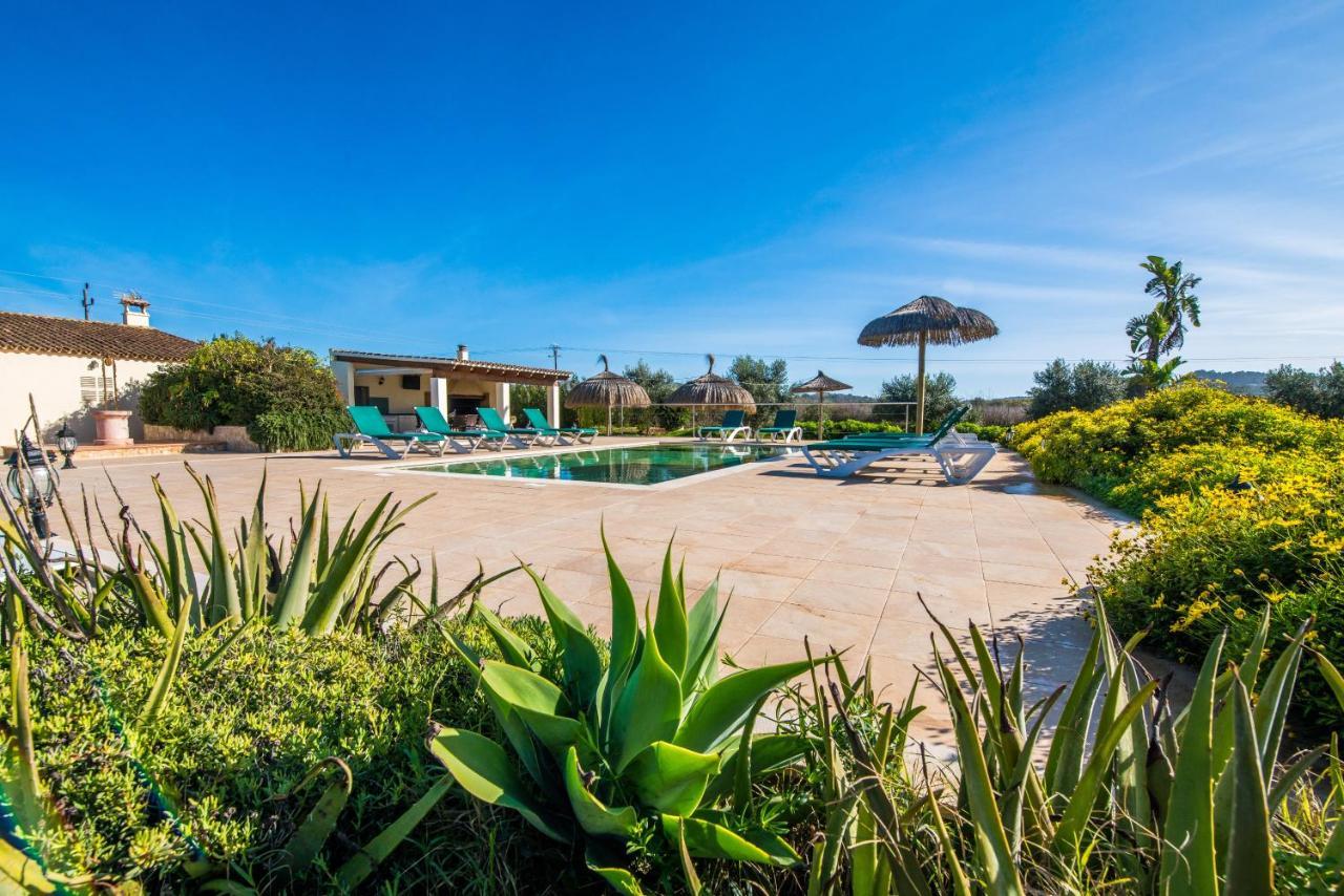 Finca Cas Padrins Manacor  Eksteriør bilde